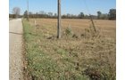 Property photo 20 - 110+/- Acres offered in 4 Tillable Tracts